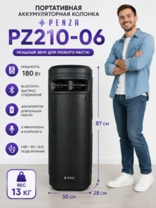 Boxă portabilă Bluetooth PENZA PZ210-06 180W și Karaoke