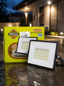 Светодиодный прожектор DYLLU 30W 6000K IP65