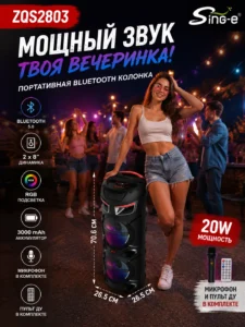 Boxă portabilă Bluetooth Sing-e ZQS2803, 20W, 2×8″, RGB, Microfon inclus, Telecomandă