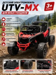 Mașină electrică pentru copii UTV-MX 2000, 24V, 4×4